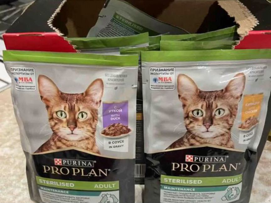 Purina pro plan для кошек влажный и котят