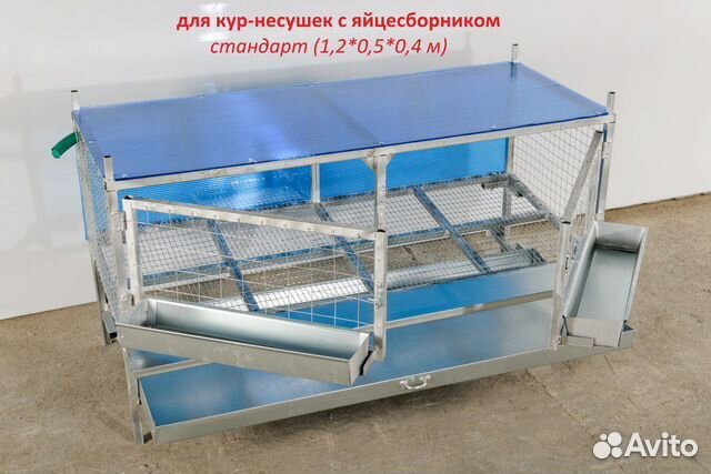 Клетки для кур-несушек