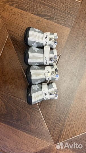 Обувь для маленьких собак