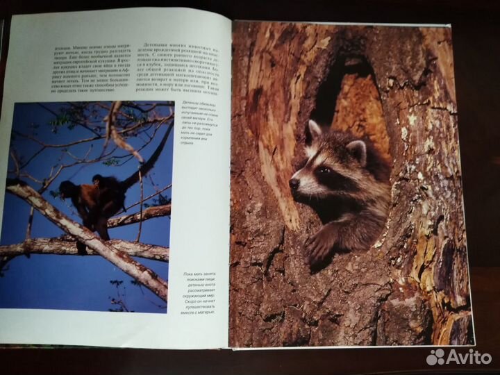 Книги (большого размера)
