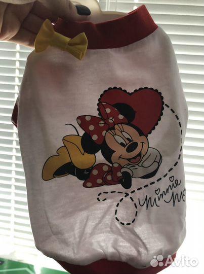 Одежда для собак и кошек