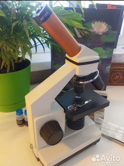 Микроскоп levenhuk rainbow 2l