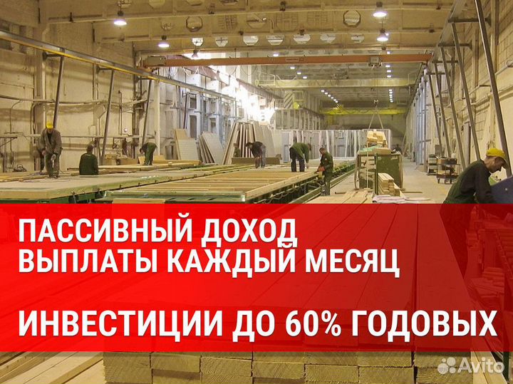 Инвестиции в лесозаготовки 60% годовых