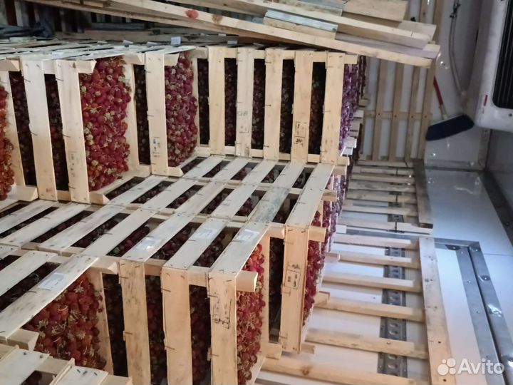 Клубника Малина Ежевика