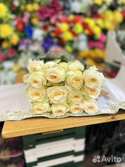 Цветы:Розы на 8 марта