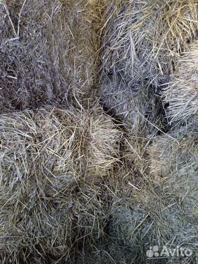 Сено солома в тюках