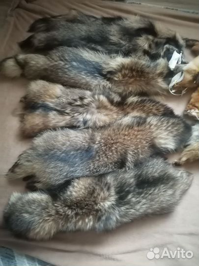 Шкуры лисы, енота с выделкой