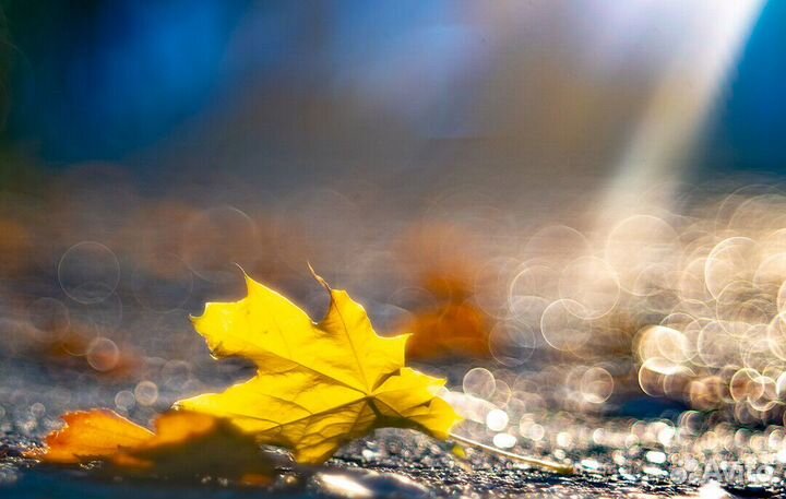 Carl Zeiss Jena Biotar 58mm F2 T (M42)