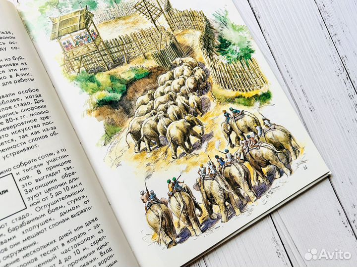 Энциклопедия 