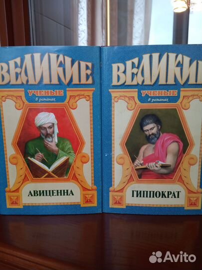 История в художественной литературе