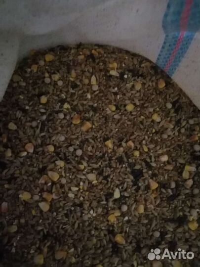 Комбикорма, зерновые