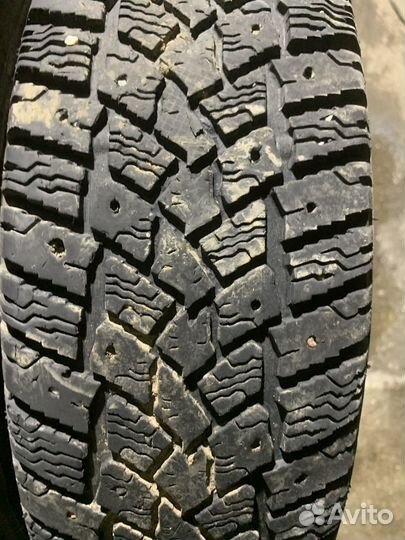 Medved Nast II 175/70 R13