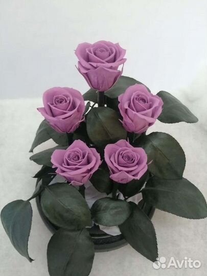 Роза в колбе оптом и в розницу