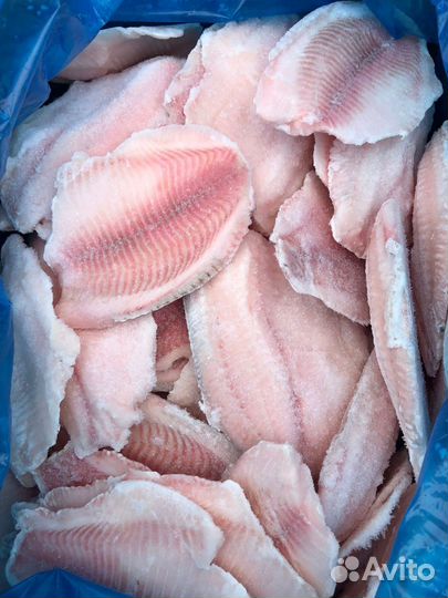 Рыба и морепродукты