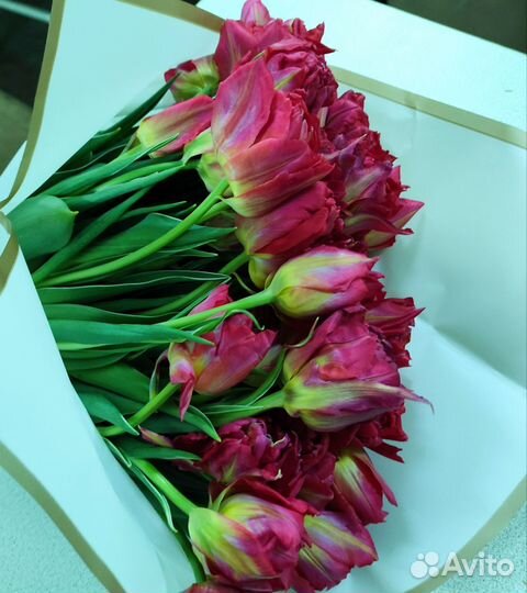 Тюльпаны оптом и в розницу