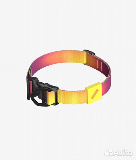 Ошейник для собак staya