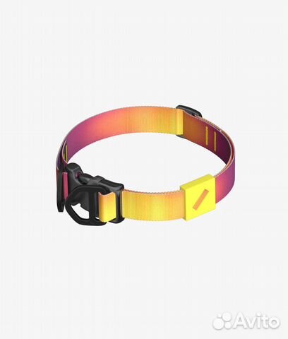 Ошейник для собак staya
