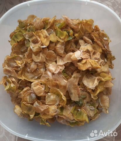 Пленка (кутикула) с перепелиных желудочков