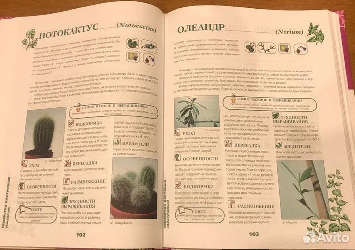 Книга «Энциклопедия комнатных растений»