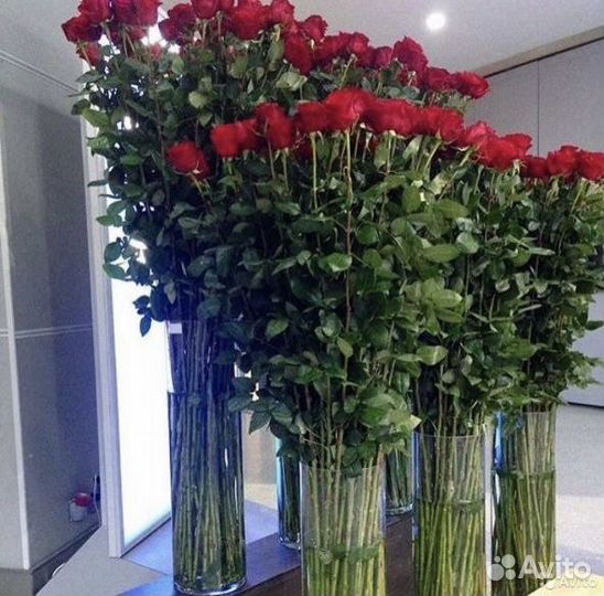 Высокие красные розы букеты с доставкой