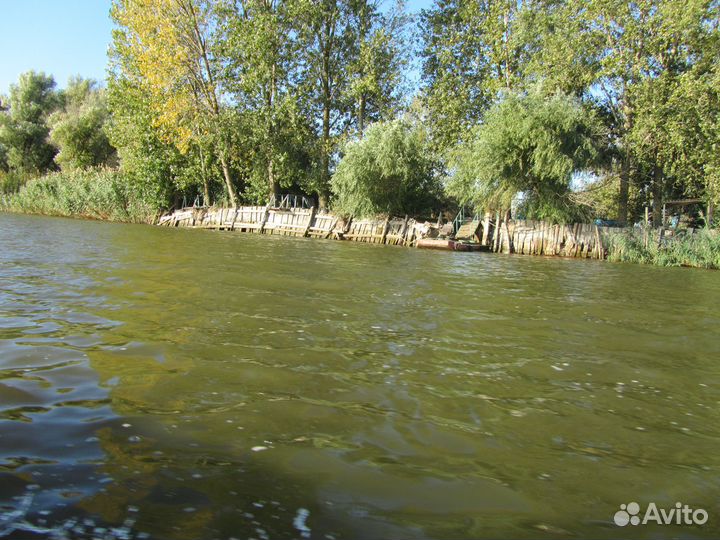 Корм для животных