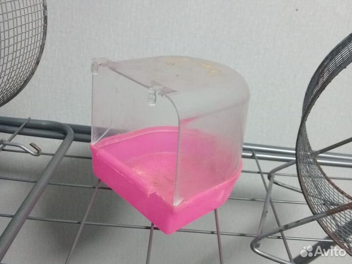 Беговое колесо для грызунов