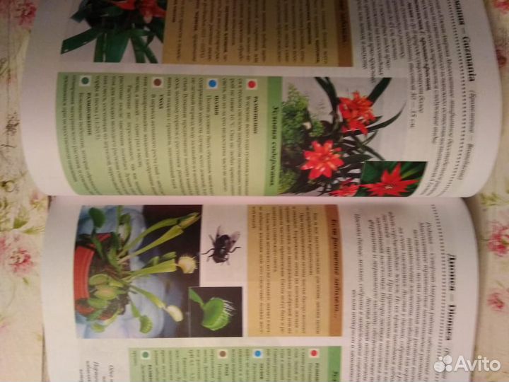 Энциклопедия комнатного цветоводства