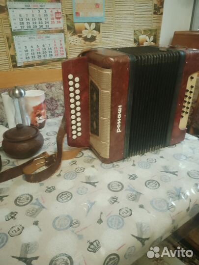 Гармонь ромашка