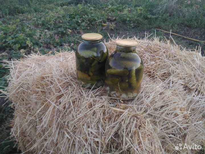 Вкуснейшие огурцы и помидоры компот купорка