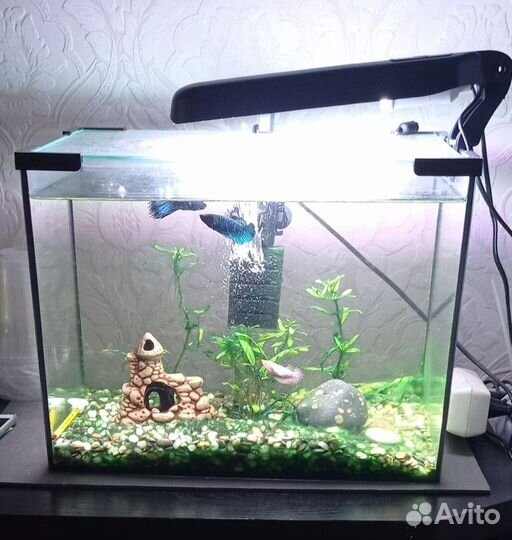 Аквариум 30л