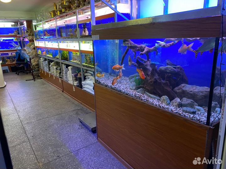Аквариумный магазин