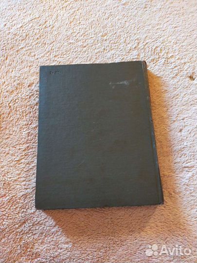 А. С. Пушкин - Медный всадник