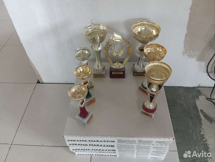 Кубки наградные цена за все