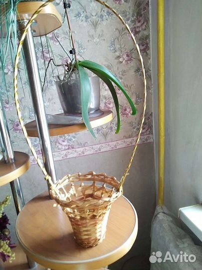 Корзина плетеная и тыква