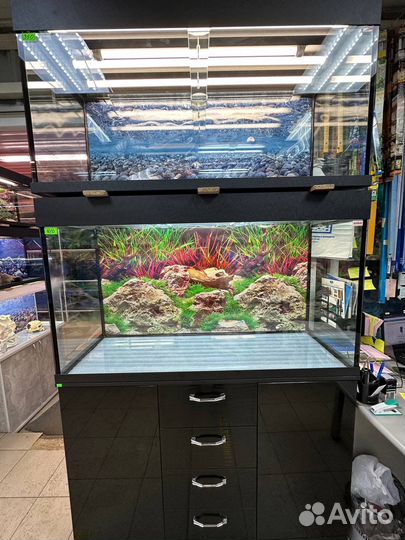 Аквариум