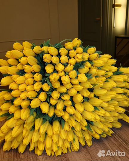 51 тюльпан / 101 тюльпан / букеты