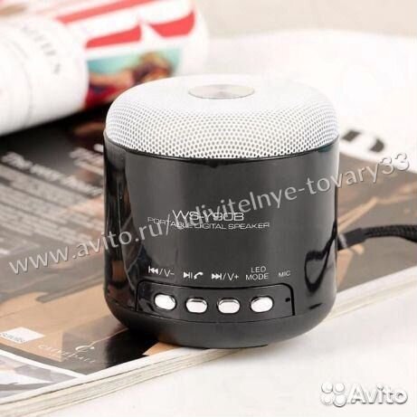 Портативная колонка wster