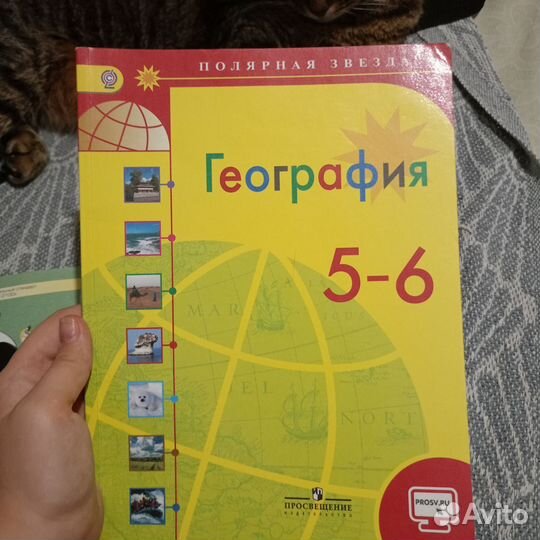 Учебники 5-6 класса