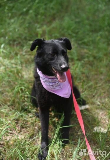 Молоденькая девочка в дар