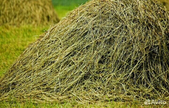 Сено, солома, опилки