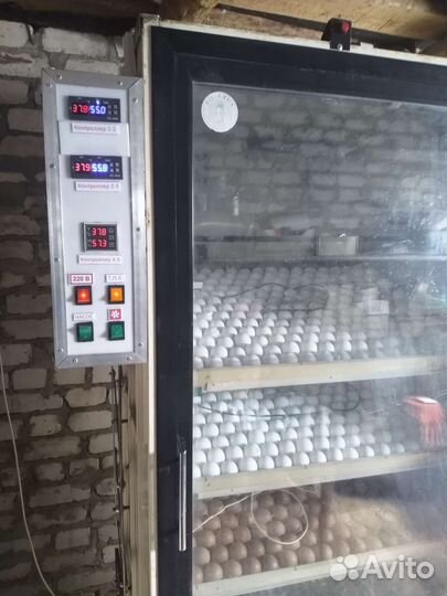 Автоматический инкубатор на 2000яиц