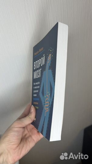 Второй мозг