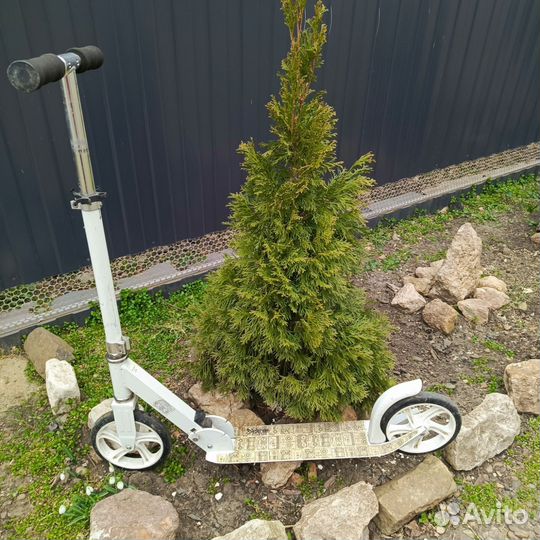 Самокат взрослый до 120 кг