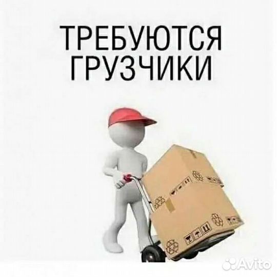 Требуются грузчики с ежедневной оплатой