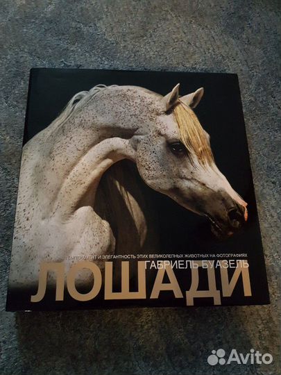 Книги про лошадей и конный спорт