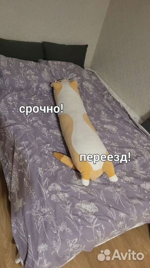 Подушка кот батон