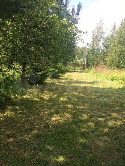 Участок 16 сот. (СНТ, ДНП)