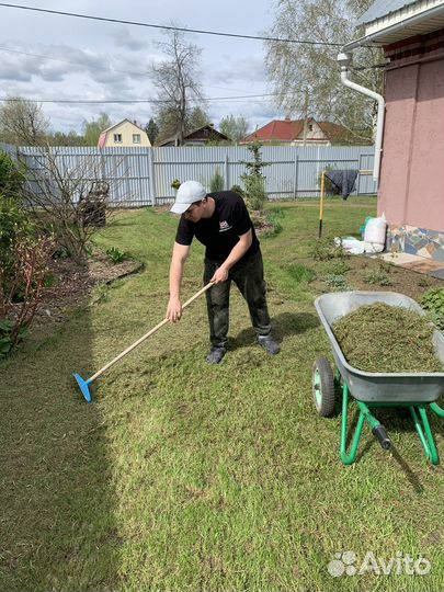 Подготовка газона к сезону, аэрация, скарификация