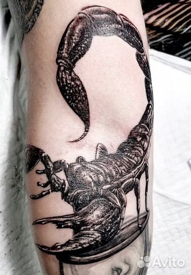 Татуировка. Нанесение, исправление.Опытный мастер