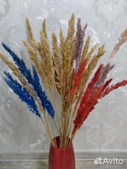 Вейник - сухоцвет